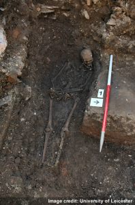 The Richard III skeleton in situ (image University of Leicester).